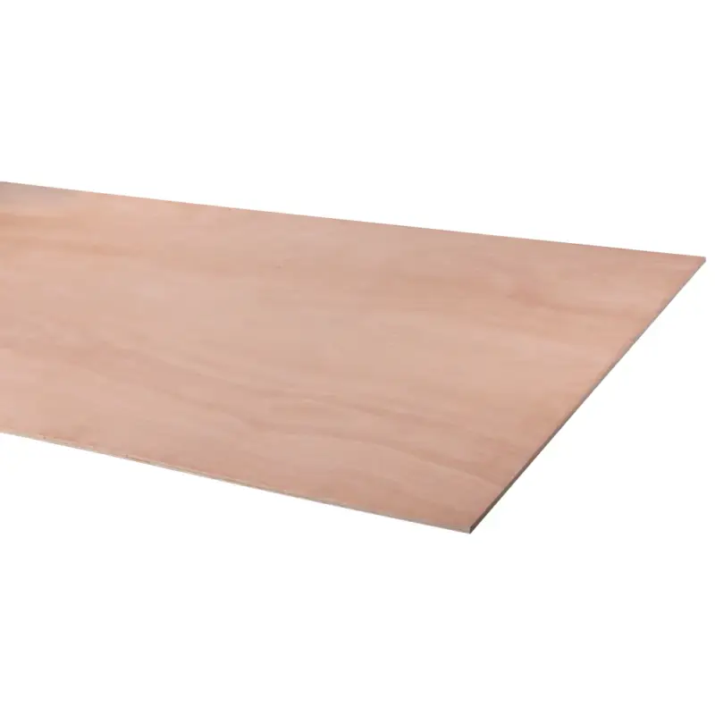 Hoge Kwaliteit Multiplex hardhout 244X122cm 12mm